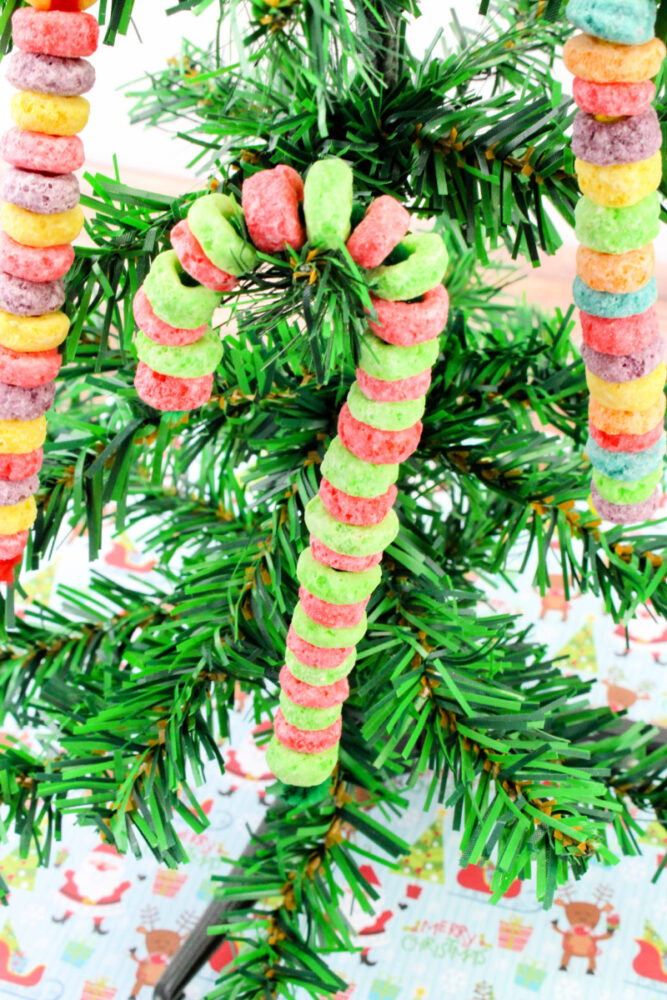 candy cane on Christmas Tree