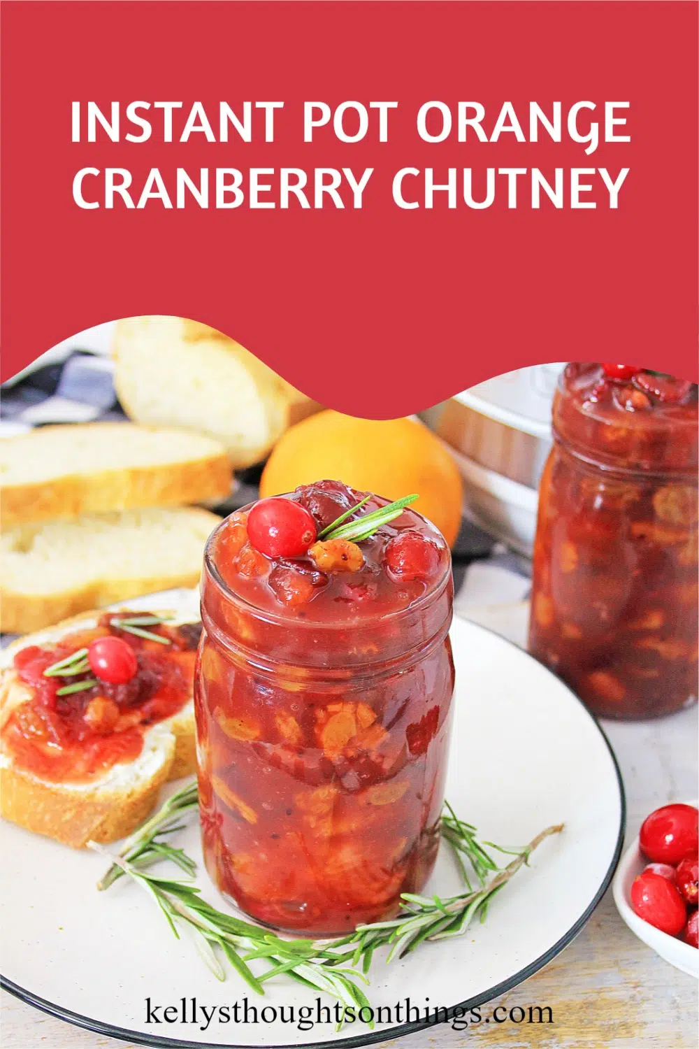 Instant Pot Orange Cranberry Chutney