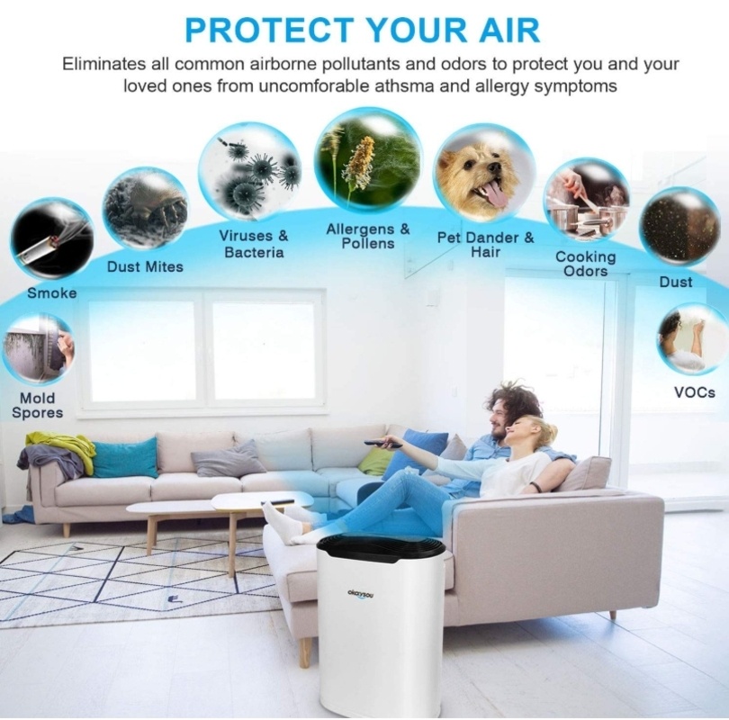 Bring Purified Air & Happiness To Your Daily Life