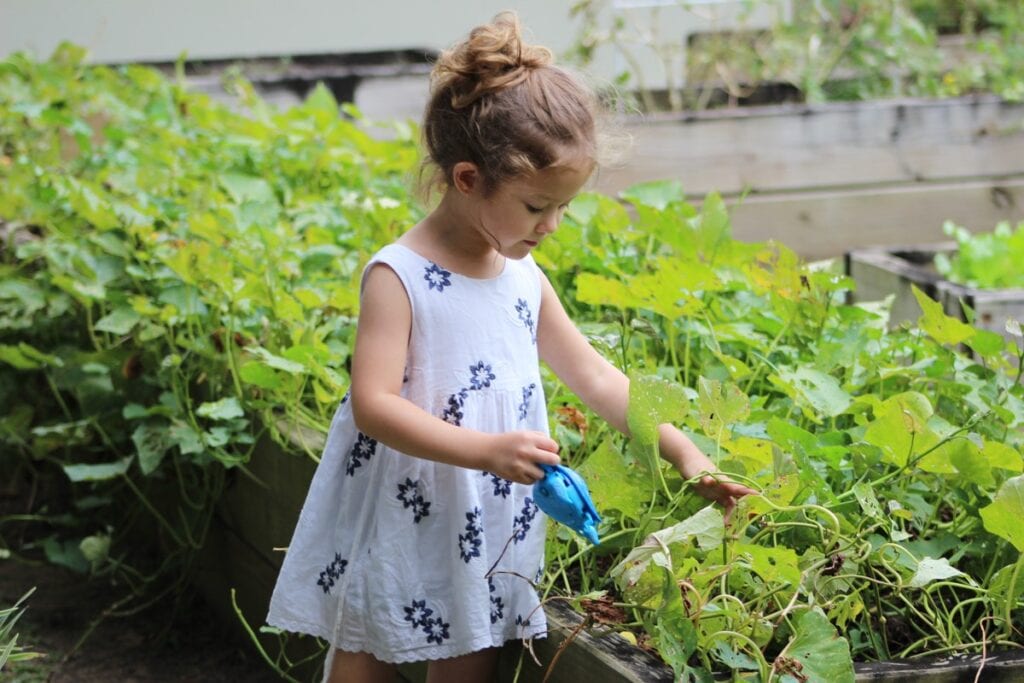 How To Design A Kid-Friendly Garden