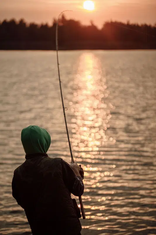 The Post-Pandemic Importance Of Fishing And A Pescatarian Diet