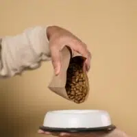 6 Steps To Choose The Best Food For Your Dog