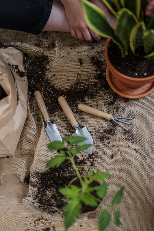 Keeping That Curb Appeal With A Beautiful Garden