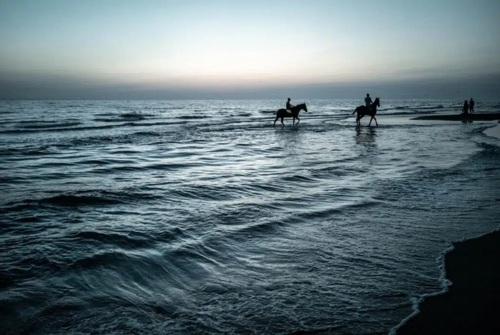 6 Thrilling Water Sports To Try Once In A Lifetime