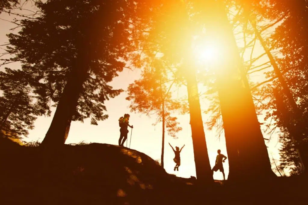 Best Hobbies To Do As A Family
