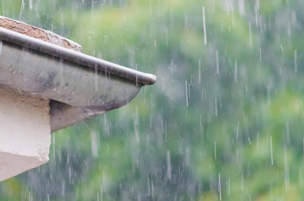 Conserving Water: Maintaining Your Garden Without Using Too Much Water
