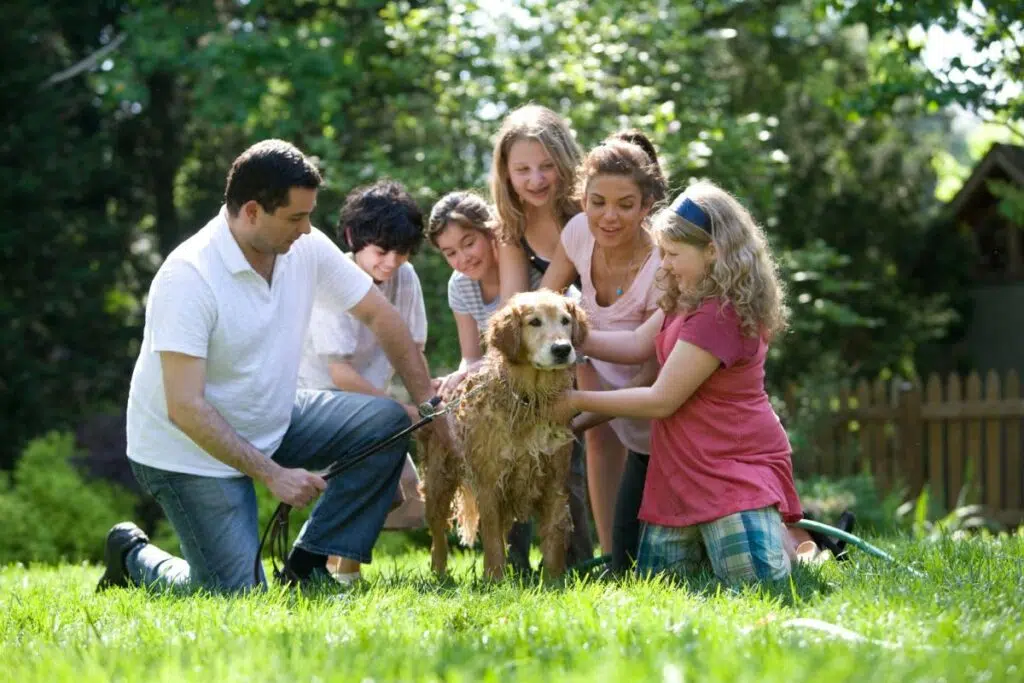 How To Create The Perfect Family Home