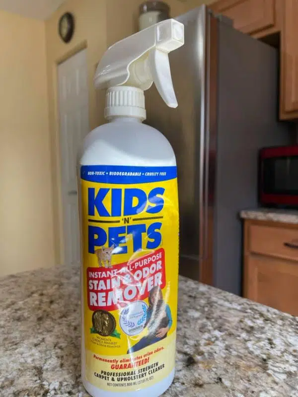 Tackling Life&rsquo;s Stains and Odors With KidsNPets 