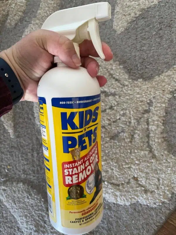 Tackling Life&rsquo;s Stains and Odors With KidsNPets
