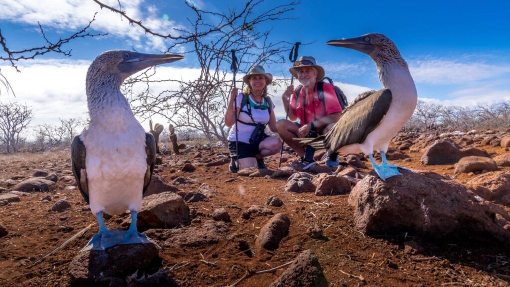 Enjoy A Week-Long Program In The Galapagos