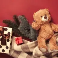 Teddy Bears: A Perfect Gift For One And All