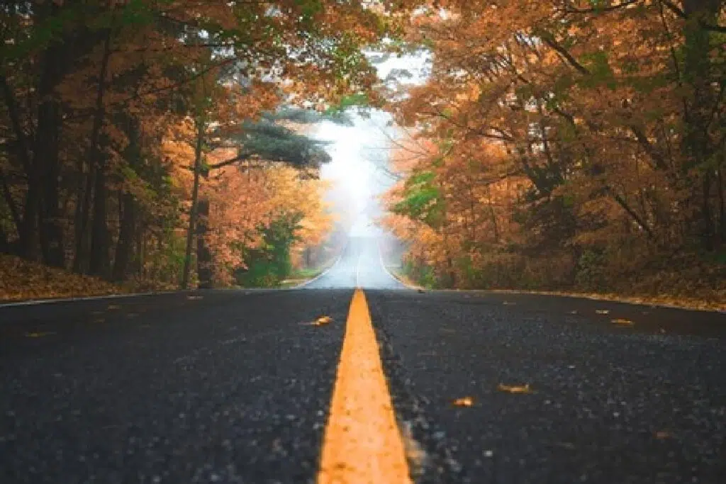 How To Prepare Your Car For Your Next Fall Road Trip 