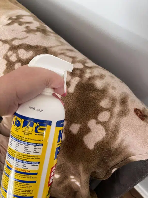 Maximize The Effectiveness Of Stain-Removal Products