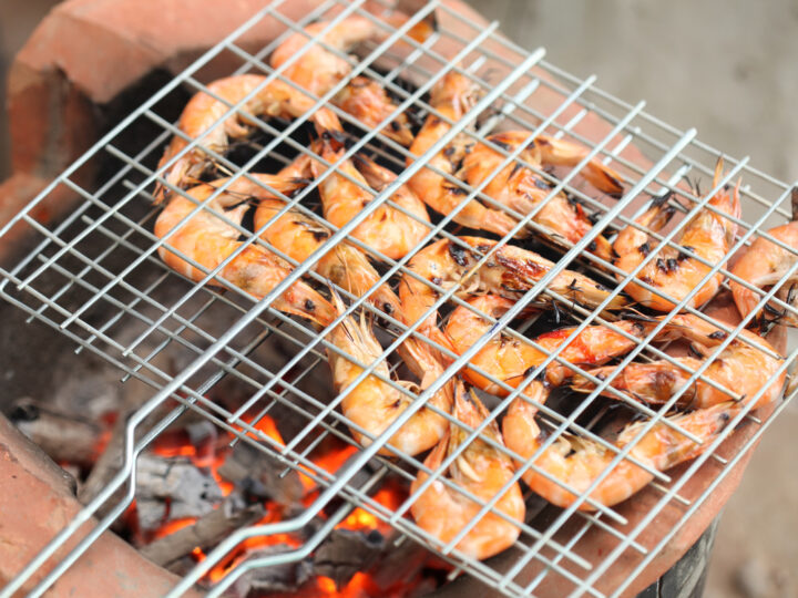 Gourmet Grilled shrimp with original stove between picnic.