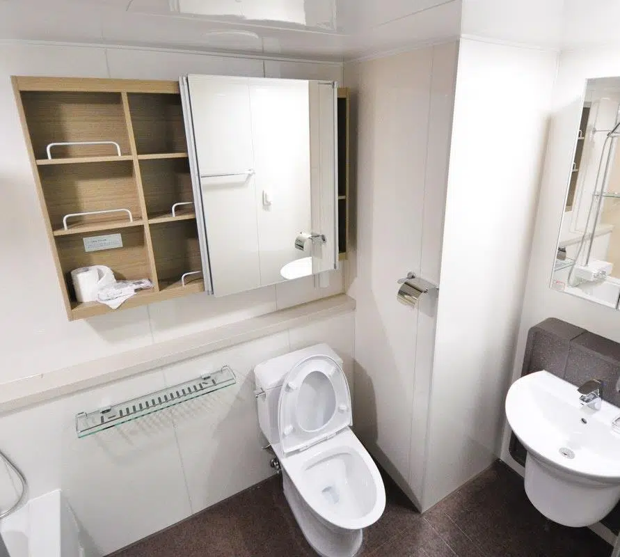 What Is The Strongest Spraying Bidet Seat?