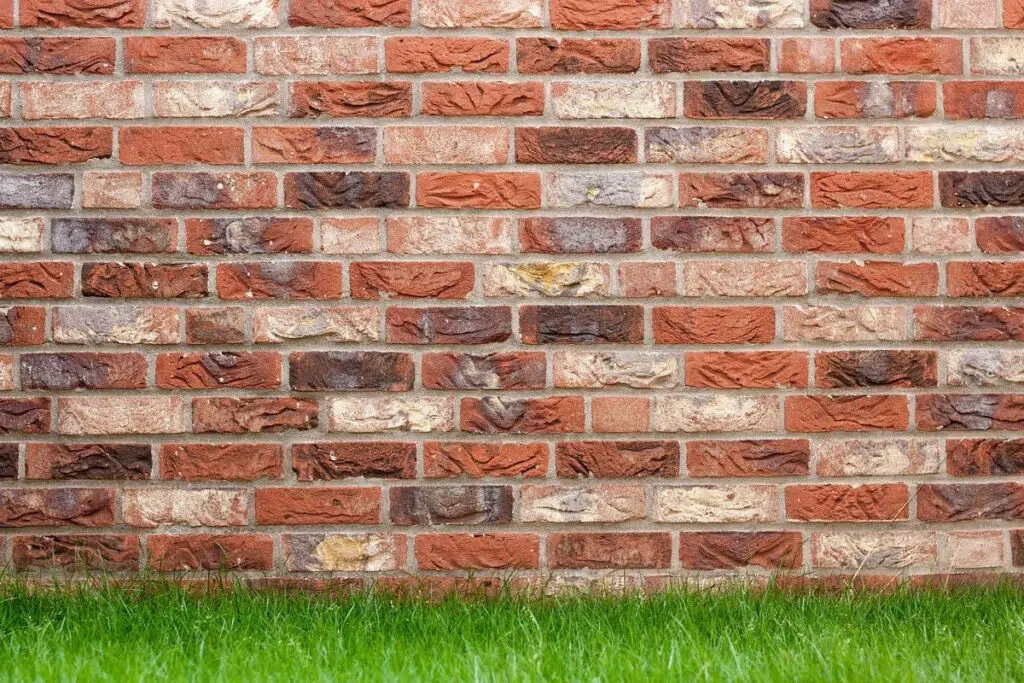 High-Quality Backdrops For Your Photography Projects