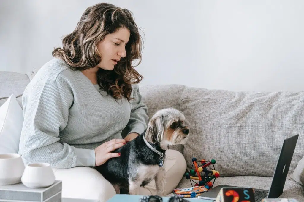 Pet Flicks For Chilling: 6 Must-watch Dog Movies