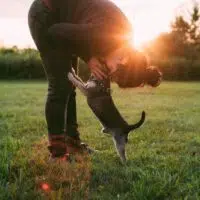 Everything You Need To Know About Emotional Support Animals!