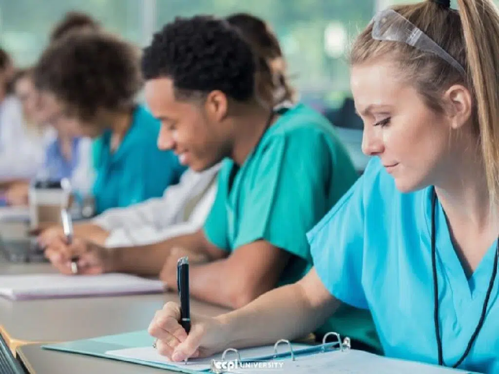 Everything You Need To Know About Nursing School First Semester 