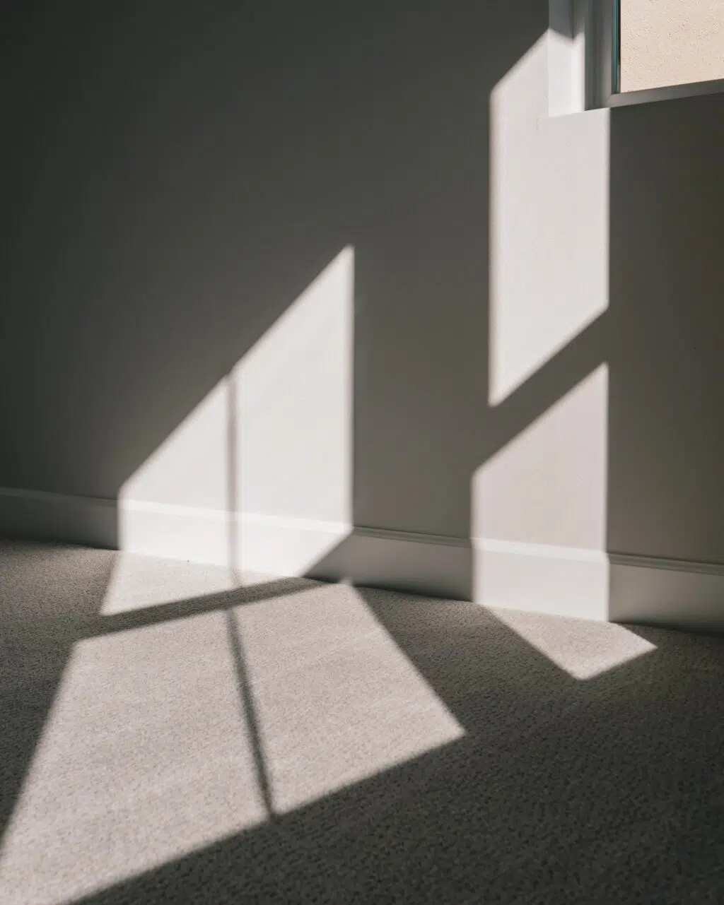 Privacy Window Film: What You Need To Know