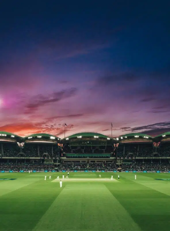 Standout Factors To Pay Close Attention To When Making Cricket Match Predictions