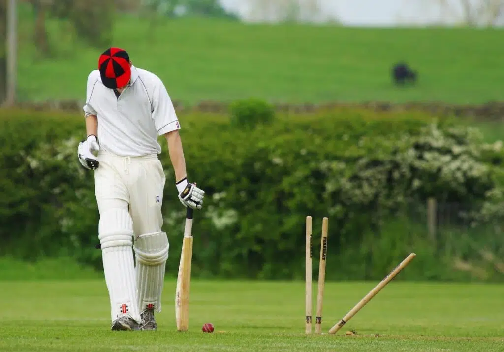 Standout Factors To Pay Close Attention To When Making Cricket Match Predictions