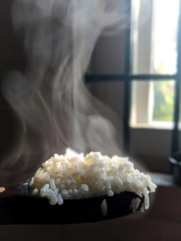 When Was Rice Introduced In America? 