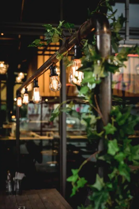 Do LED Grow Lights Consume More Power?