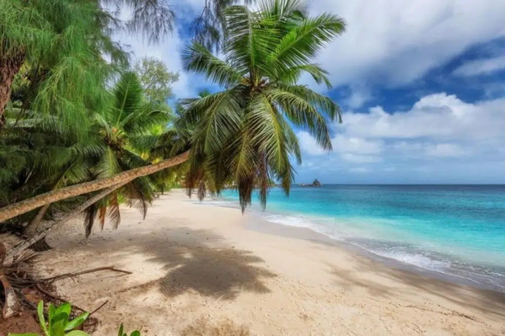 Fiji Finds: How To Make The Most Of Your Fiji Holiday