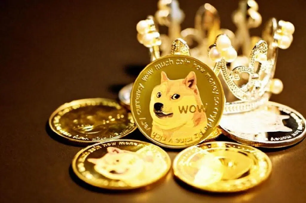 How To Make Money Investing In Dogeco