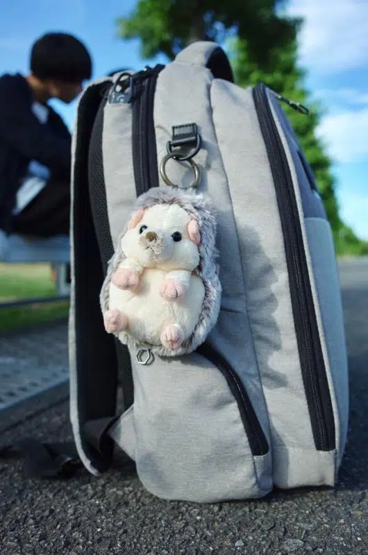 Where To Buy Kawaii Gifts For Your Friends