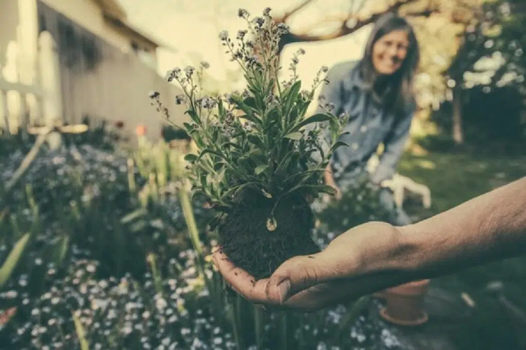 These 7 Tips Will Make Gardening Easier For Beginners