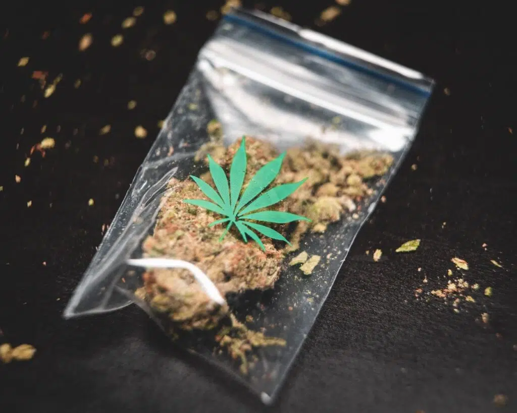 Questions To Ask While Visiting Recreational Dispensaries