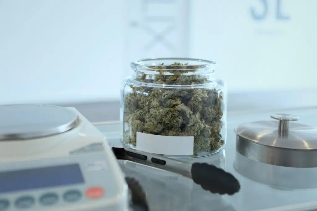 Questions To Ask While Visiting Recreational Dispensaries