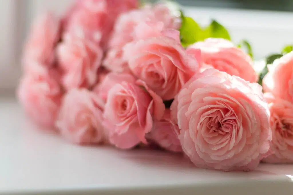 What Could Be The Perfect Apology Gift? Check Out These Ideas
