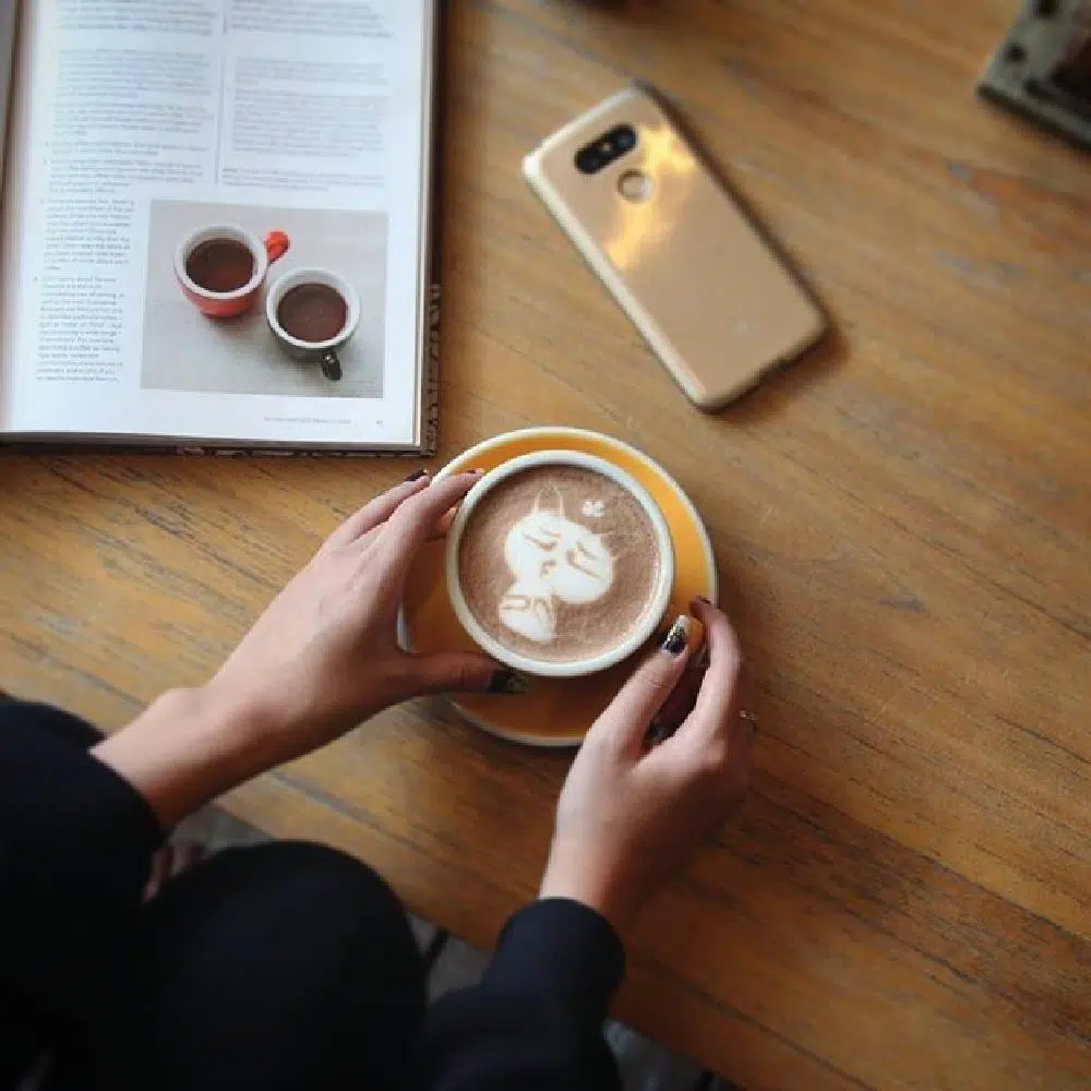 Why Should You Ditch Your Regular Cup Of Coffee For Mushroom Coffee?&nbsp;