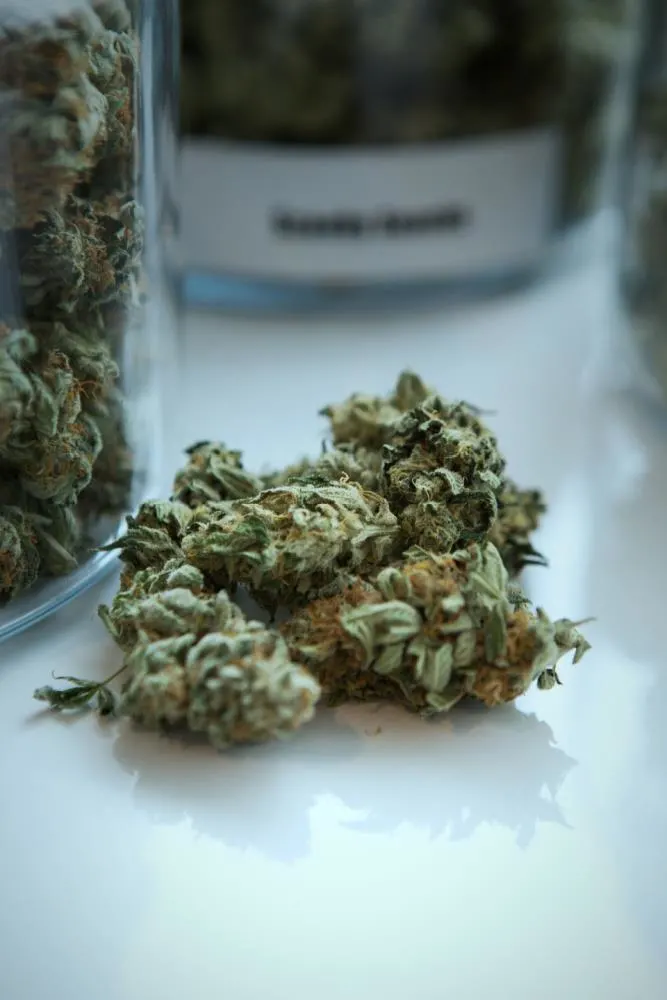 5 Tips For Wannabe Chefs Who Enjoy Cooking With Weed