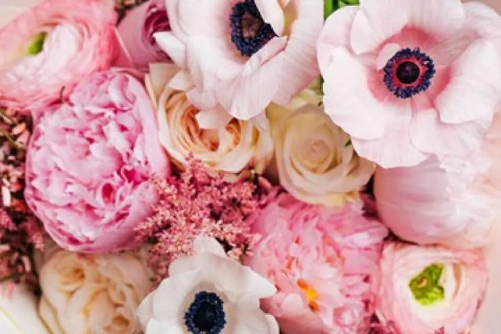 Best Flowers For All Occasions