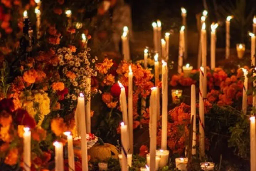 Best Flowers For All Occasions