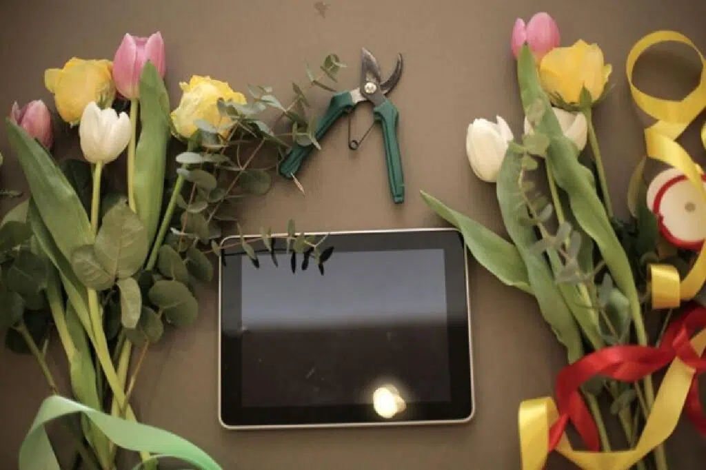 Best Flowers For All Occasions
