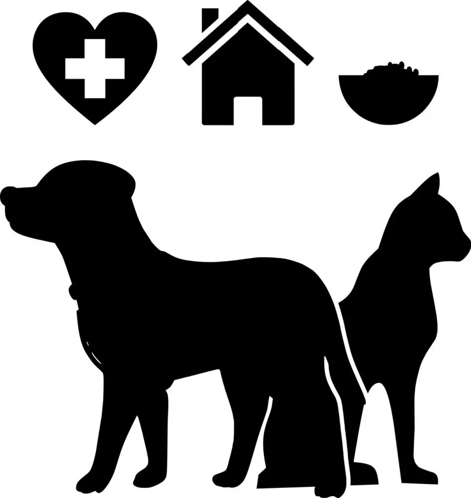 What Is Pet Insurance And What Does It Cover?