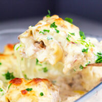 Chicken and Bacon Alfredo Roll-Ups