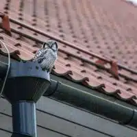 4 Ways To Ensure Proper Roof Drainage