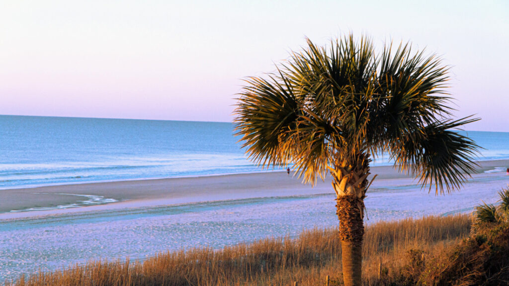 Top 10 South Carolina Beaches