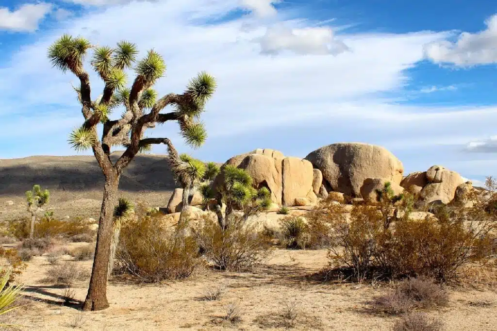 6 Most Interesting Weekend Trip Ideas In South California