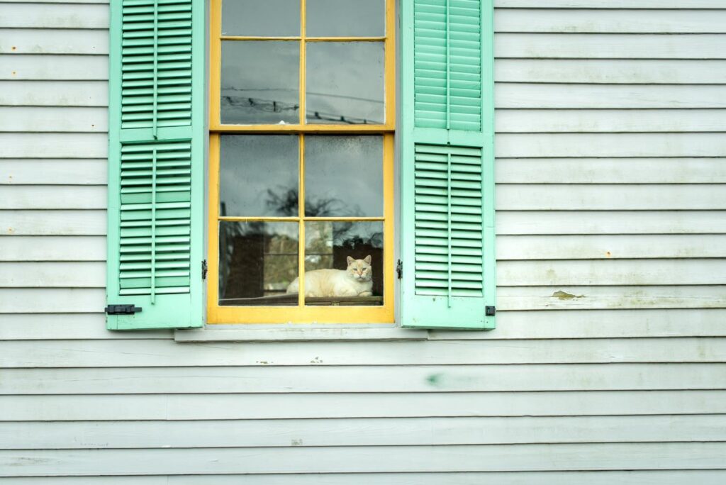 Do You Need Siding Repairs For Your Home? Here's Some Important Advice