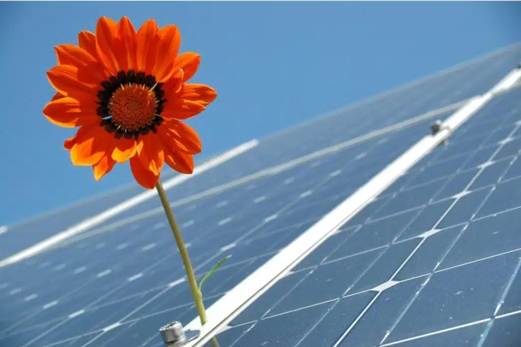 How Do I Choose The Best Solar Company In My Local Area?