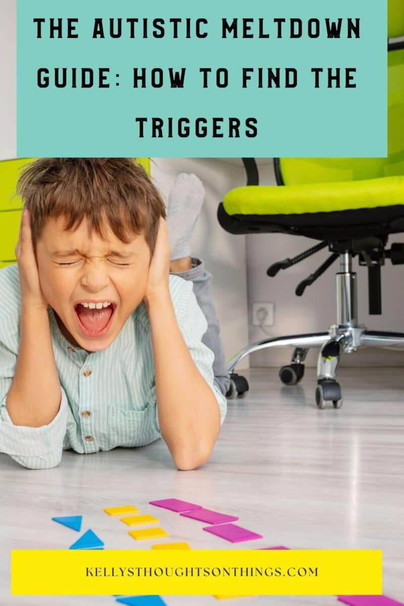 Autistic Rage The Autistic Meltdown Guide: How to Find the Triggers