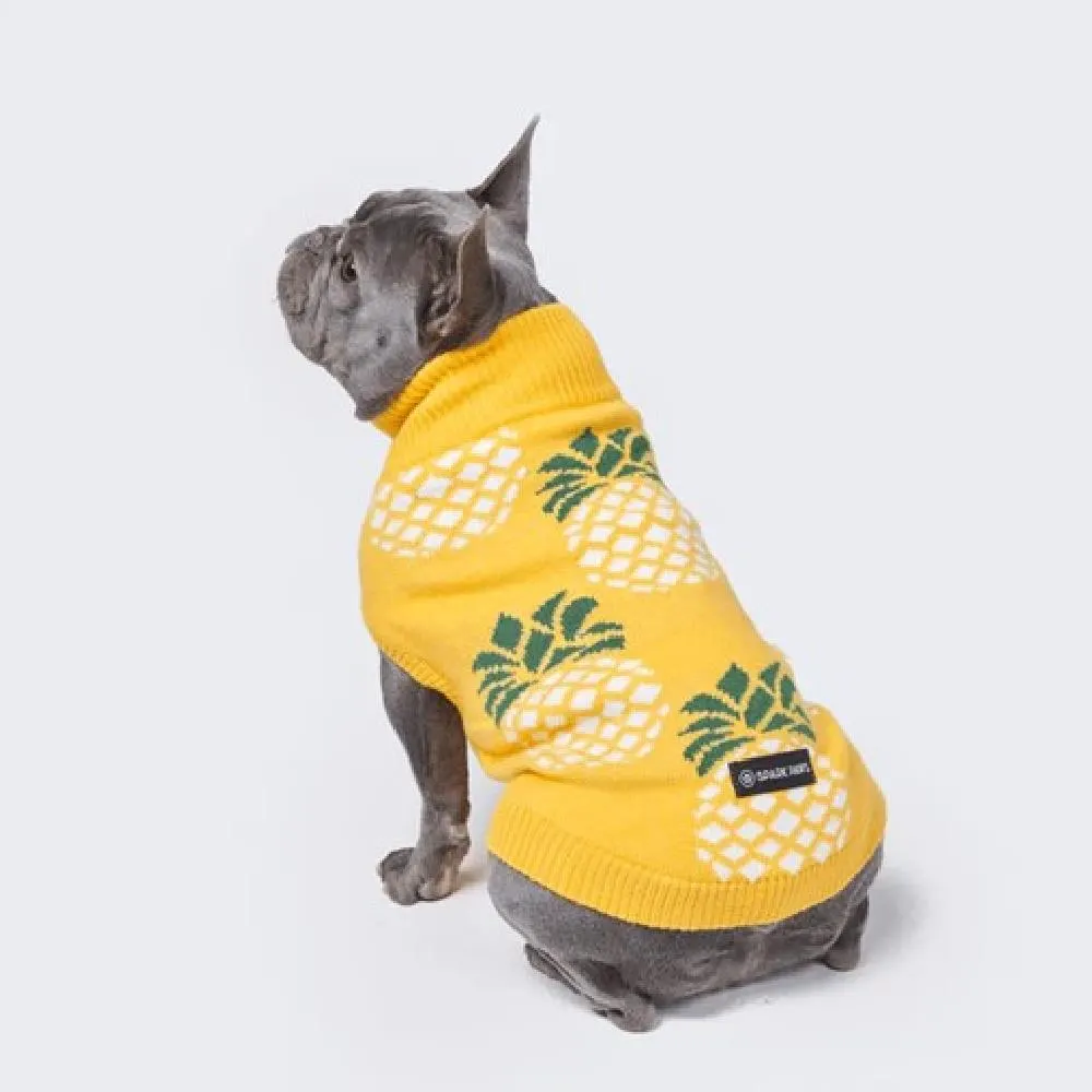 Best Clothing Options For Frenchie Bull Dog