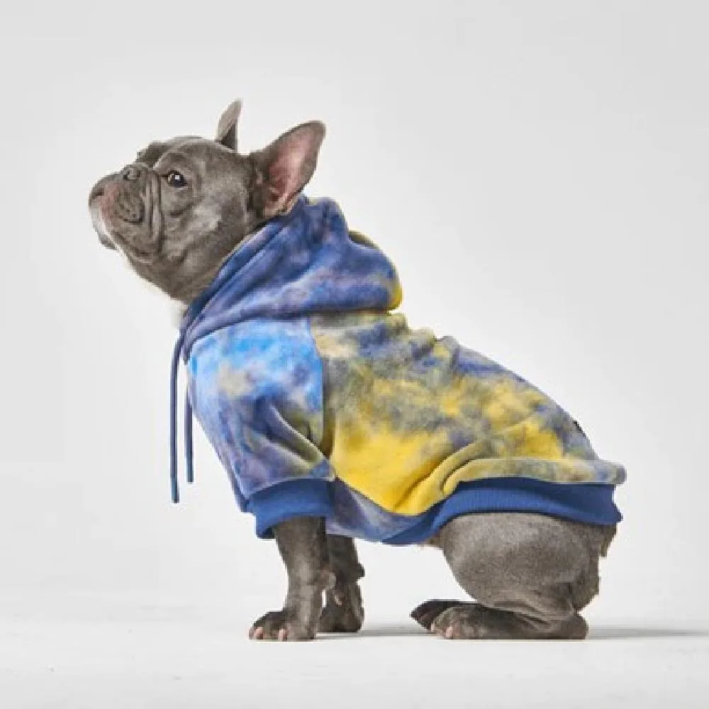 Best Clothing Options For Frenchie Bull Dog